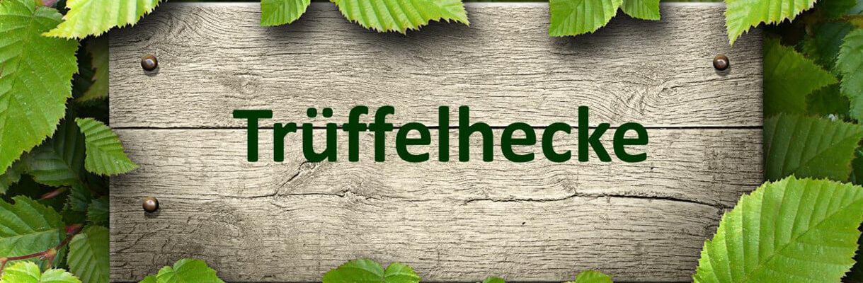 Trüffelhecke